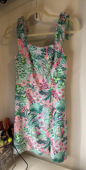 Lilly Pulitzer Dress thumbnail 1