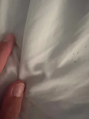 Aerie thumbnail 2