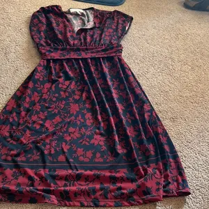 Anthropologie lark & ro‎ dress small thumbnail 3