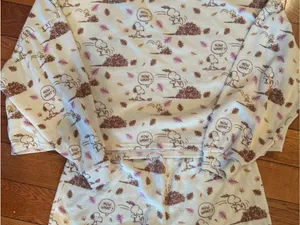 American Eagle x Peanuts Snoopy Fall Autumn Plush Lounge PJ Set Size XS SOLD OUT thumbnail 7