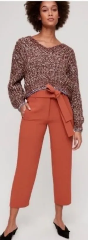 Aritzia Tie Front Burnt Orange Ankle Cropped Front Back Pocket Pants Size 2 thumbnail 1