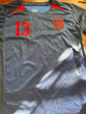 USA Soccer Nike Jersey Women’s morgan thumbnail 1