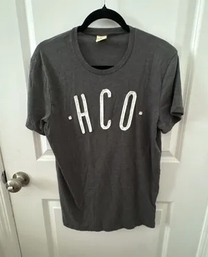 Hollister Co. Dark Gray Graphic Logo T-Shirt Size M thumbnail 1