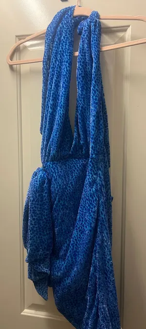 Revolve Blue Dress with print  thumbnail 1