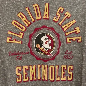 FSU Florida State University Seminoles Pressbox by Royce Apparel Women's Tee, L thumbnail 2