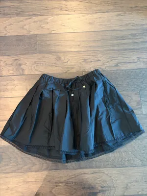 New With Tags JCrew Lace Trim Pleated Skirt Sz S thumbnail 2