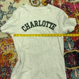 Charlotte t shirt Gray Size M thumbnail 4