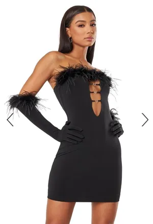 The Kript Mini Dress thumbnail 1