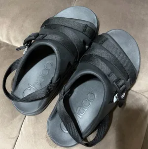 Chaco thumbnail 2
