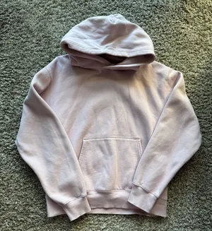 Aritzia Sweatshirt thumbnail 1