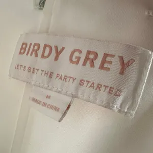 Birdy Grey Grace Chiffon Dress in Sage Spring Garden Size Medium thumbnail 6