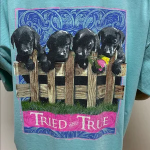 Comfort Colors “Tried and True” Lab Puppy Dog Aqua Short Sleeve T-Shirt size 2XL thumbnail 1