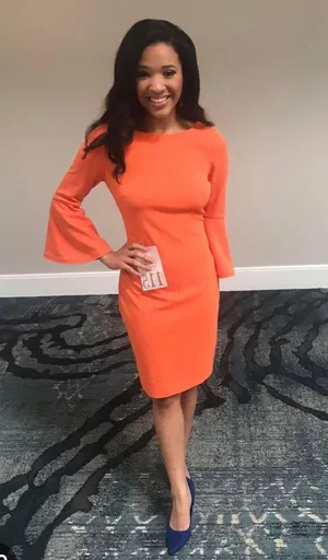 Calvin Klein Dress thumbnail 1