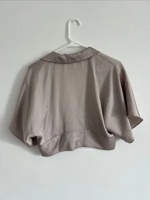 Zara Neutral Taupe Satin Cropped V-Neck Blouse thumbnail 3