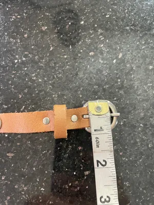 Brown Leather Silver Concho Coin Skinny Belt Women’s Size S/M thumbnail 5