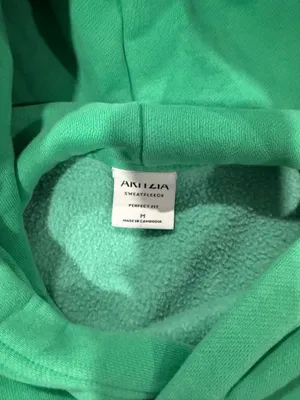 Aritzia Hoodie Perfect thumbnail 2