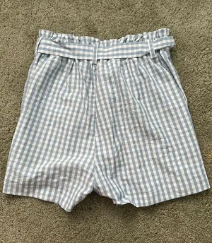 PacSun Blue Gingham Shorts thumbnail 2