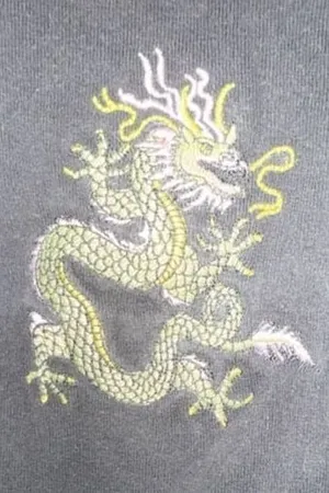 Brandy Melville Connor Dragon Embroidered Crop Tank Top thumbnail 2