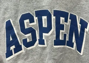 Brandy Melville Aspen crewneck thumbnail 4