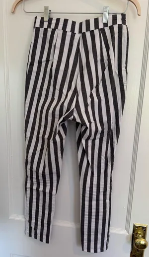 Urban Outfitters Striped Ankle Pants thumbnail 6