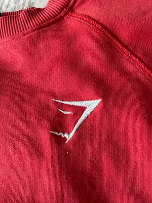 Crew Neck thumbnail 3