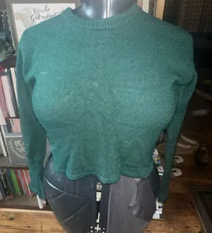 Brandy Melville green wool blend cropped M sweater thumbnail 1