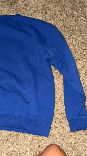 Champion University of Florida Crewneck thumbnail 2