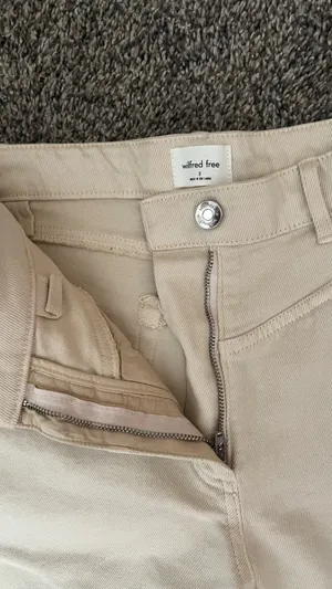 Aritzia Wilfred pants thumbnail 3