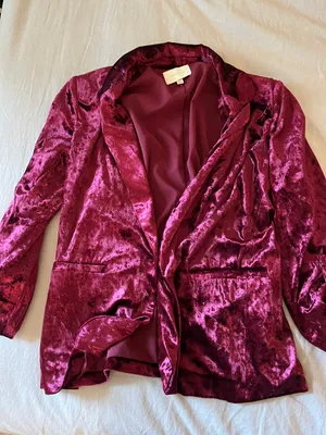 Skies Are Blue Velvet Blazer thumbnail 2