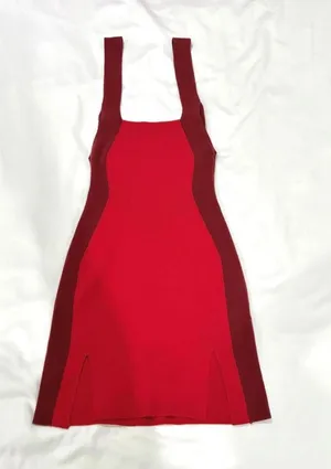 Solid & Striped The Marissa Colorblock Mini Dress Red Burgundy (Size S)⁠ thumbnail 1