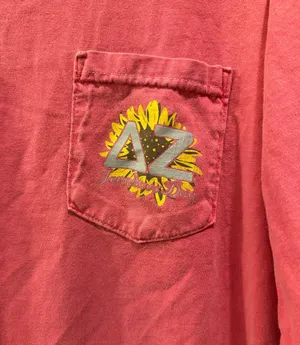 Comfort Colors Delta Zeta Founders Day Long Sleeve Tee thumbnail 3