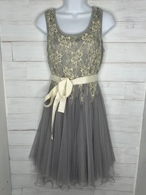 NWT Ryu by Anthropologie Gray/Ivory Lace Bodice Tulle Dress Size Small thumbnail 2