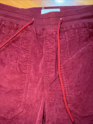 Anthropologie Burgundy Drawstring Jogger Pants thumbnail 10