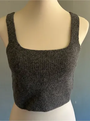 NWT Everlane Wool Cropped Tank Top | Size: L thumbnail 2
