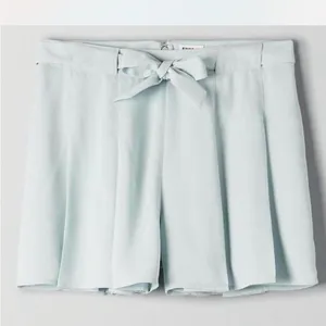 Aritzia Blue Shorts with Belt thumbnail 3