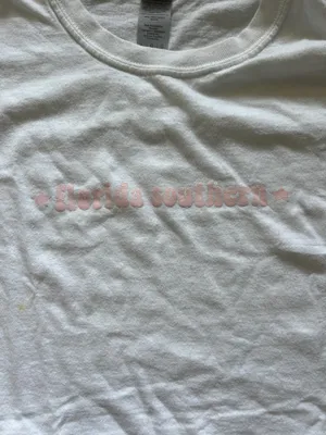 Gildan florida southern cropped tee thumbnail 2