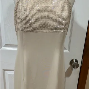 Ceeam/Tan Formal Dress – Talbots Petites Size 8 thumbnail 4