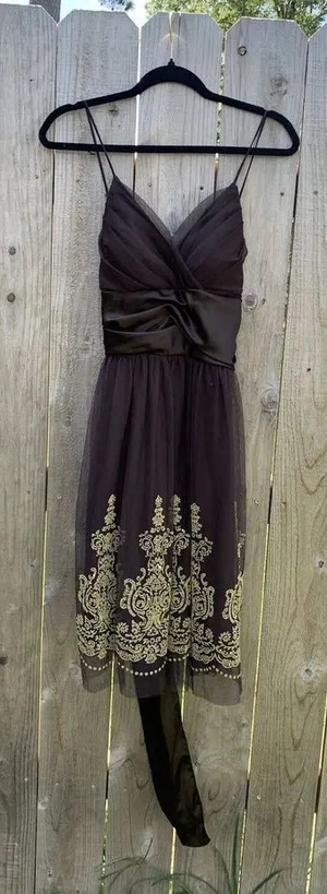 A.P.N.Y. Women's Brown Empire Waist Brown Gold Size 12 Fall‎ Mesh Satin Fairy thumbnail 1