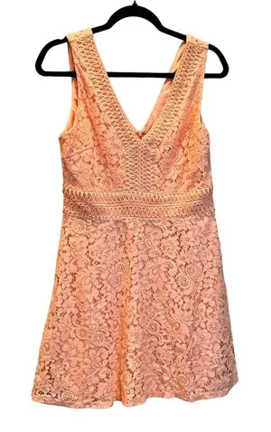 NWT Francesca's Mini A-line Dress Floral Lace Sleeveless Size‎ Medium thumbnail 1