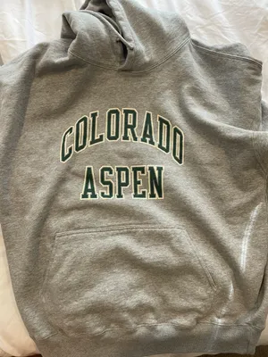 John Galt Pacsun Hoodie thumbnail 2