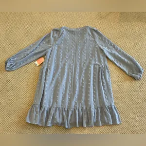 NWT Arula Swiss Dot Vneck Dress, Size A 1X, Dusty Blue, Longsleeve, Short thumbnail 2