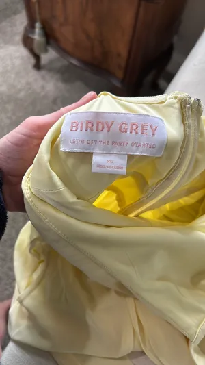 Birdy Grey Grey Bridesmaid Dress thumbnail 4