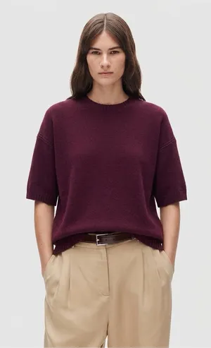 J. Crew Lambs Wool Oversized Sweater Tee Shirt Short Sleeve Size XS Burgundy thumbnail 1