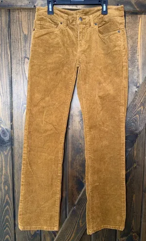 Patagonia Corduroy Organic Cotton‎ Pants thumbnail 1