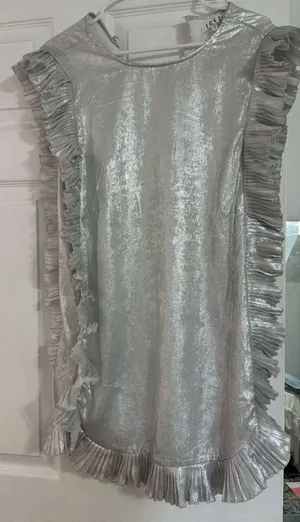 TCEC silver dress thumbnail 1