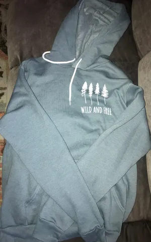 Bella Canvas Blue Wild & Free Hoodie thumbnail 1