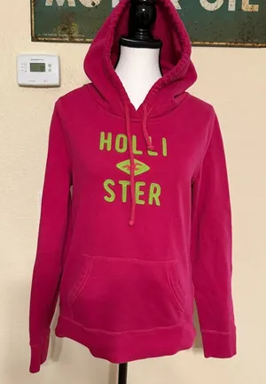 VTG Hollister Hoodie Sweatshirt Womens Embroidered Pink Long Sleeve Pullover Y2K thumbnail 1