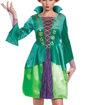Disney Hocus Pocus Wini Sanderson Classic Halloween Dress Up Costume Women’s thumbnail 1