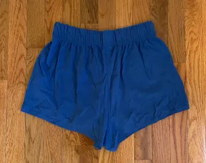Urban Outfitters Wild Fable blue sweat shorts thumbnail 2