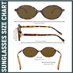 Boten‎ Retro Oval Sunglasses Tortoiseshell Brown Lens 90s Trendy Small Round NWT thumbnail 2